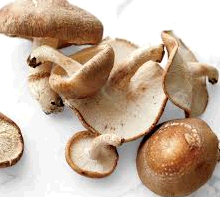 shitake mushrooms