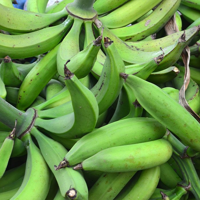 plantains
